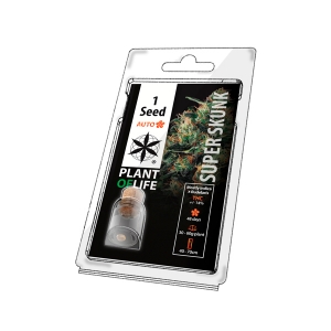 Nasiona   kolekcjonerskie Super Skunk1 pcs (AUTO)