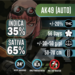 Nasiona  kolekcjonerskie AK 49 3 pcs AUTO