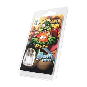 Nasiona  kolekcjonerskie Amnesia Haze  3 pcs AUTO