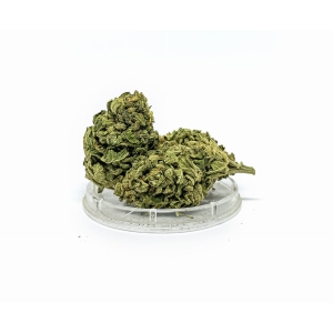 Susz Konopny CBD 