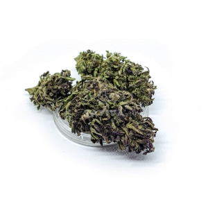 CBD Kwiaty Konopi PURPLE HAZE 1g / CBD~5,7% THC 